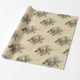 Papel De Presente Ilustração Vintage de Chapim-de-Crista Europeu
