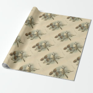 Papel De Presente Ilustração Vintage de Chapim-de-Crista Europeu