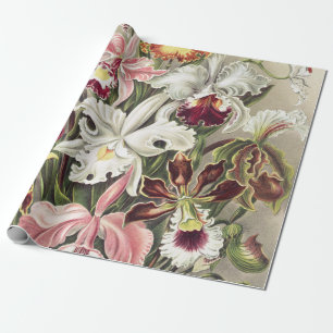 Papel De Presente Impressão Botânica Vintage de Orquídea de Ernst Ha