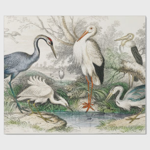 Papel De Presente Impressão de Arte da Natureza com Garça, Cegonha e