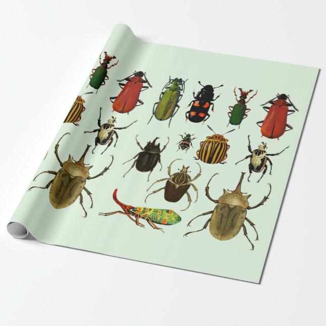 Papel De Presente Insetos Insetam Escaravelhos Entomologia Natureza  (Desenrolado)