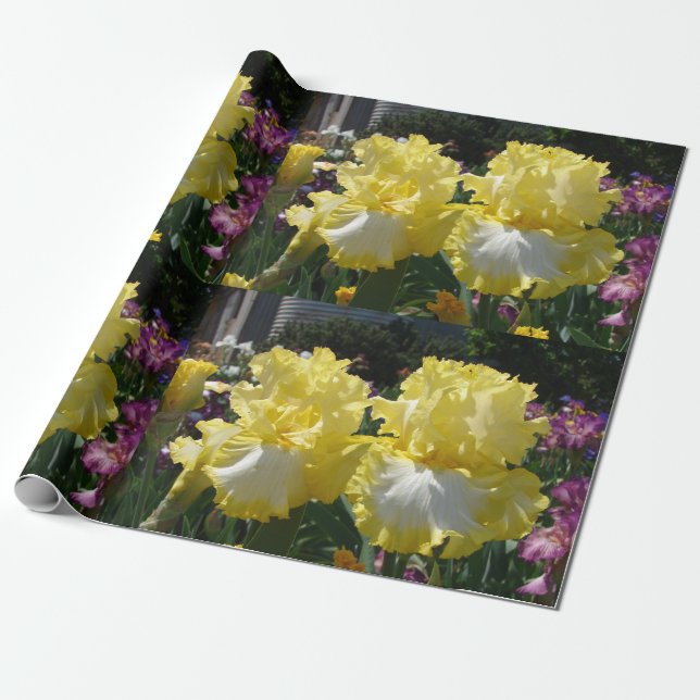 Papel De Presente Iris irja flores Amarelo Branco Bordado floral (Desenrolado)