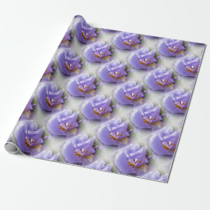 Papel De Presente íris roxa