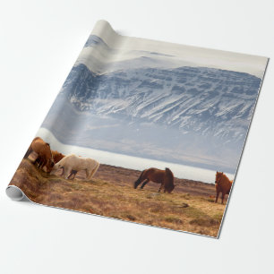 PAPEL DE PRESENTE ISLÂNDIA