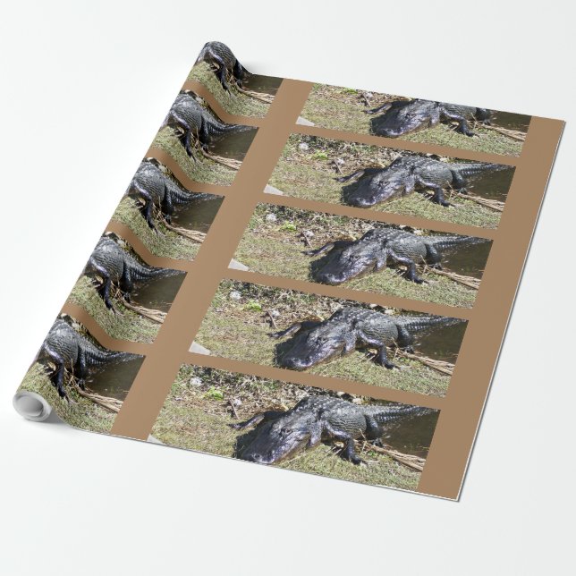 Papel De Presente Jacaré dos Everglades em Gramado de Pântano Ilumin (Desenrolado)