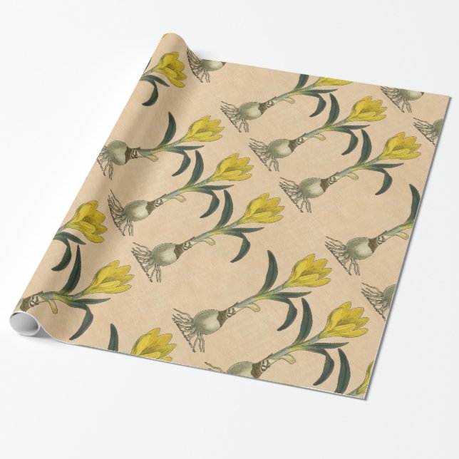 Papel De Presente Jardim Botânico de Tulipa Amaryllis Flor (Desenrolado)