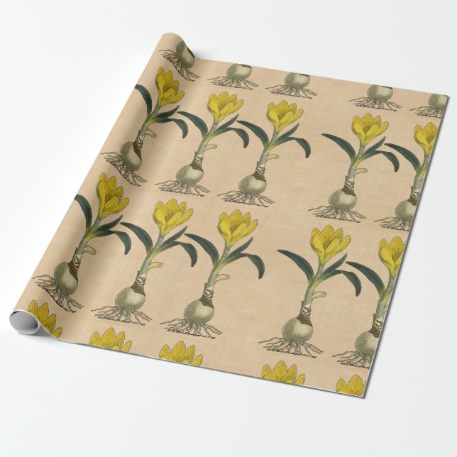 Papel De Presente Jardim Botânico de Tulipa Amaryllis Flor (Desenrolado)