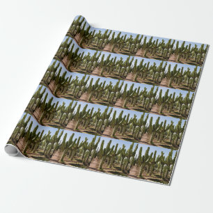 Papel De Presente Jardim Cactos, paisagem desértica tropical.