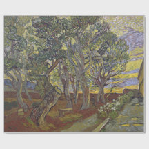 Jardim do hospital Vincent van Gogh de St Paul