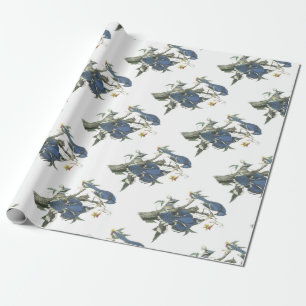 Papel De Presente Jay azul por Audubon