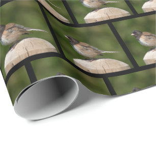 Papel De Presente Junco de Olhos Escuros - Fotografia de Aves de Art