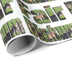 Papel De Presente Justo Dinkum Aussie Slang Word Com Kangaroos,