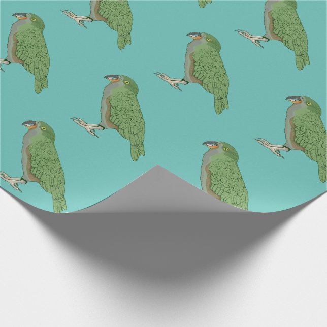 Papel De Presente Kea Nova Zelândia Bird (Ponta)