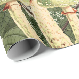 Papel De Presente Laço de serapilheira do vintage da antiguidade da