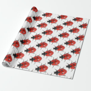 Papel De Presente Ladybug