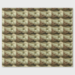 Papel De Presente Lagarto de areia