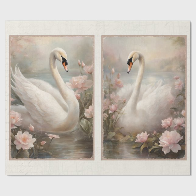 Papel De Presente Lago Elegante Swan Água Rosa Lily Floral (Aberto)