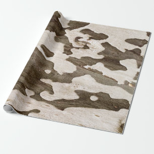 Papel De Presente Latido Sycamore Tree