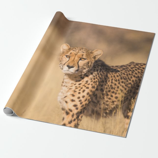 PAPEL DE PRESENTE LEOPARD PORTRAIT (Desenrolado)