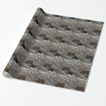 Leopardo-das-neves