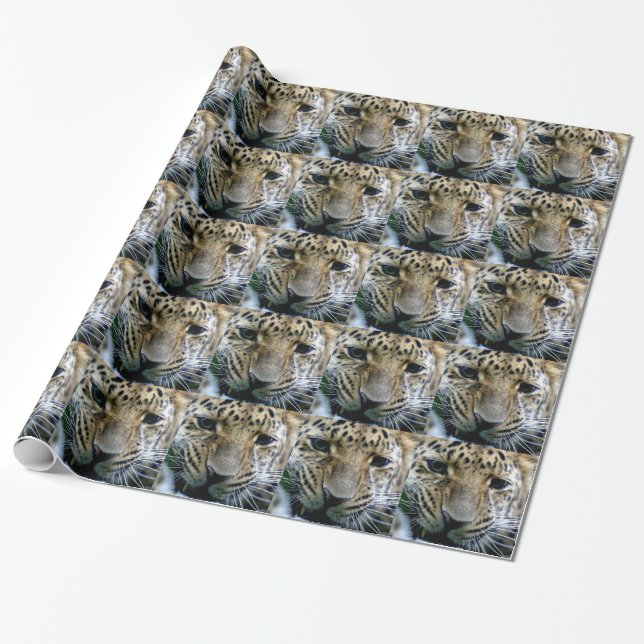 Papel De Presente Leopardo de Amur (Desenrolado)