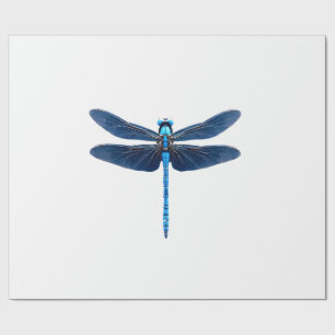 Papel De Presente Libélula Azul - Entusiasta de Insetos Animais da V