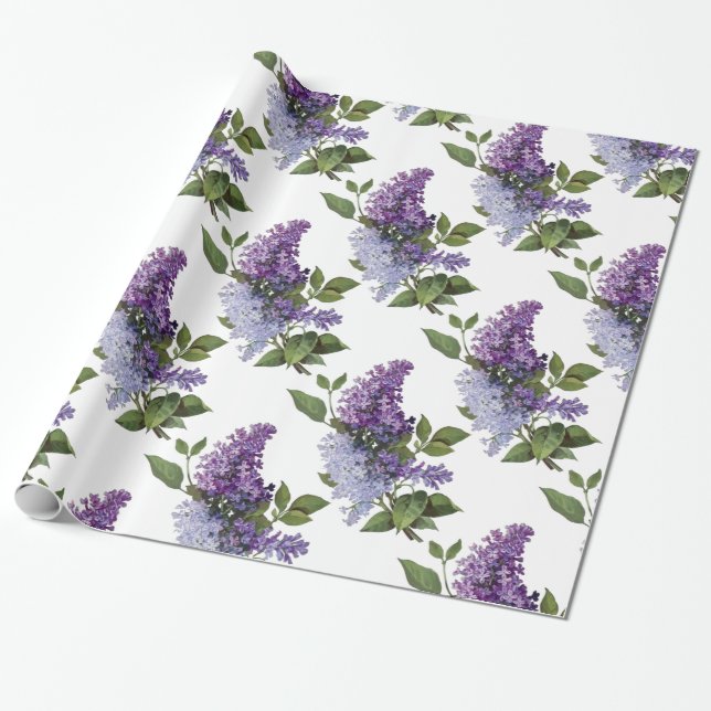 Papel De Presente Lilacs frescos (Desenrolado)
