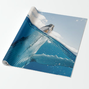 Papel De Presente Linda baleia gigante
