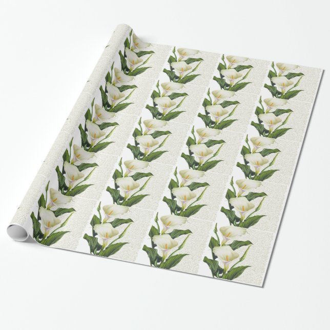 Papel De Presente Linda Calla Lily (Desenrolado)