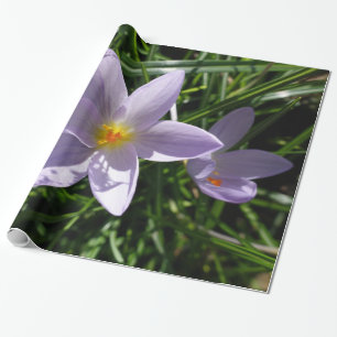 Papel De Presente Linda flor de jardim roxa. 美丽的紫色花