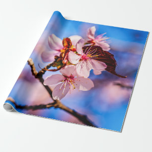 Papel De Presente Linda Sakura Blossoms