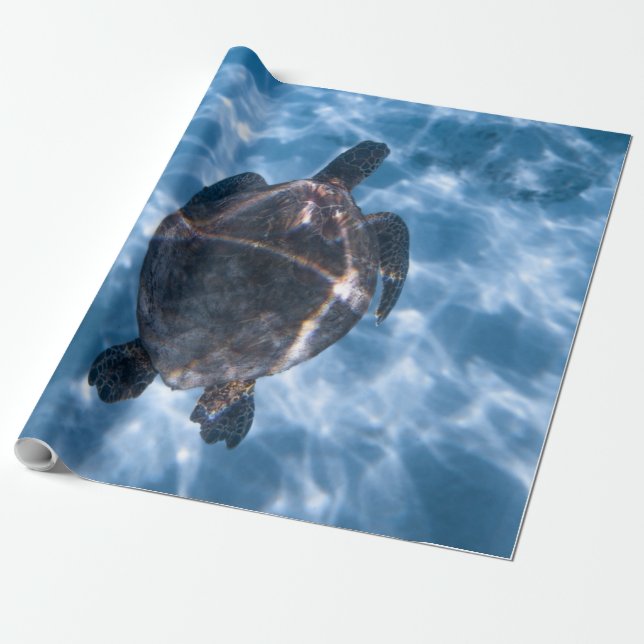 Papel De Presente Linda Tartaruga Aquática | Melhor presente para a  (Desenrolado)