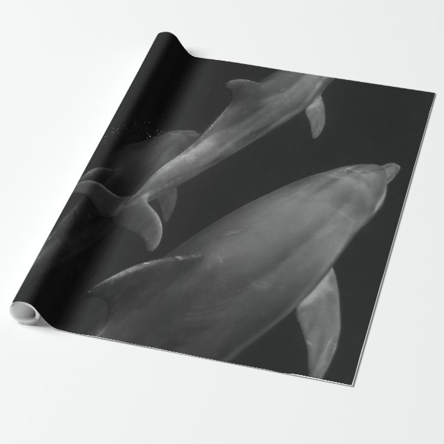 Papel De Presente Linda vida marinha (Desenrolado)
