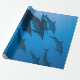Papel De Presente Lindas Criaturas Oceânicas