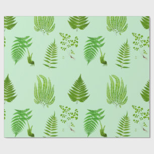 Papel De Presente Lindas pinturas de samambaias