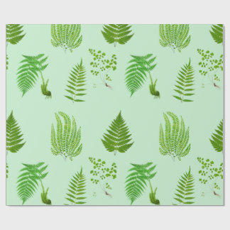 Papel De Presente Lindas pinturas de samambaias