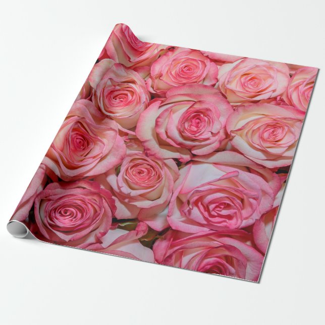 Papel De Presente Lindas rosas rosa (Desenrolado)