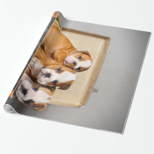 Papel De Presente Lindos Brincadeiros  Pão