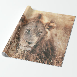 PAPEL DE PRESENTE LION KING