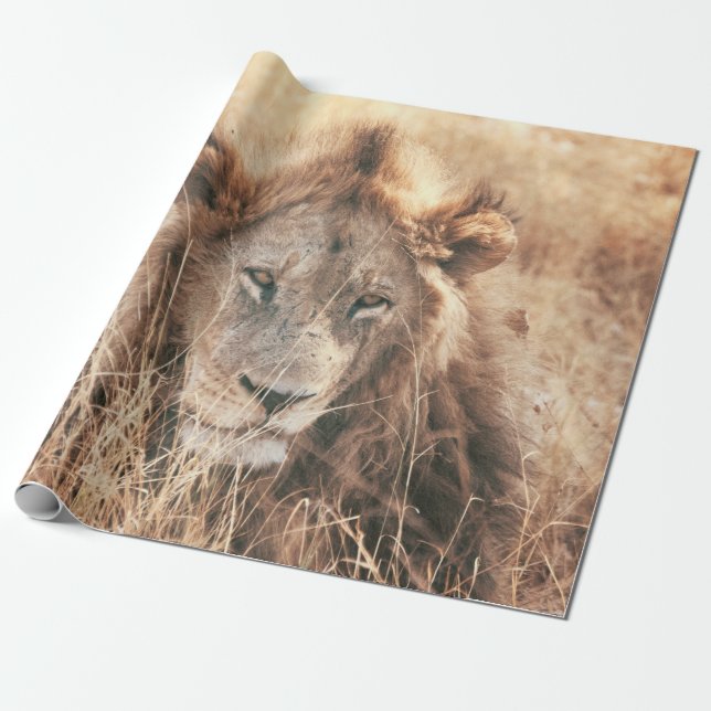 PAPEL DE PRESENTE LION KING (Desenrolado)