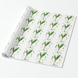 Papel De Presente Lírio-do-vale