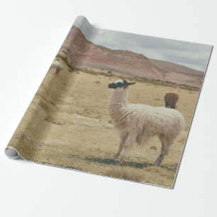 PAPEL DE PRESENTE LLAMA BRANCO NA GRAMA MARCADA
