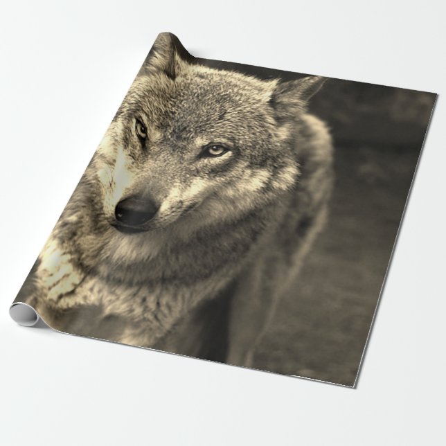 Papel De Presente Lobo 215 (Desenrolado)
