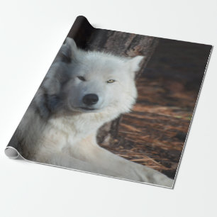 Papel De Presente Lobo ártico adorável