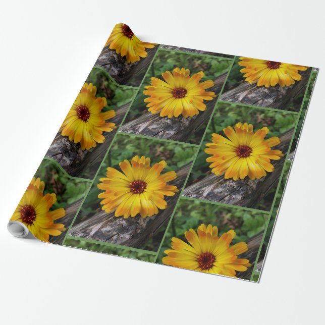 Papel De Presente log marigold on (Desenrolado)