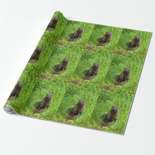 Papel De Presente Lontra de rio inteligente