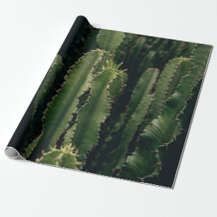 PAPEL DE PRESENTE LOVE CACTUS