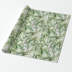 Papel De Presente Luz de Planta de Aranha de Aquarela