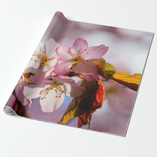 Papel De Presente Luz E Sombra Nas Pétalas De Sakura