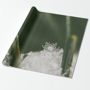 Papel De Presente Macro-fotografia de cristais atuais